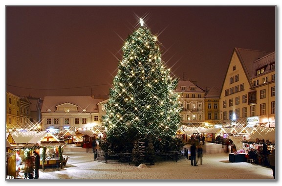 Рождественская ель устанавливается в Таллинне с 1441 года