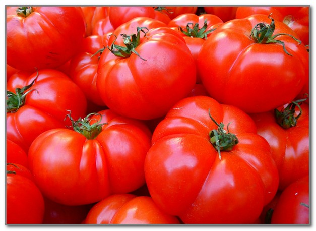 В Томатине используют несколько сот тонн помидоров